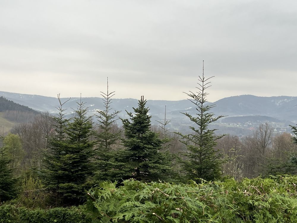 Działka rod Andrychów Pańska Góra. Zdjęcie 3