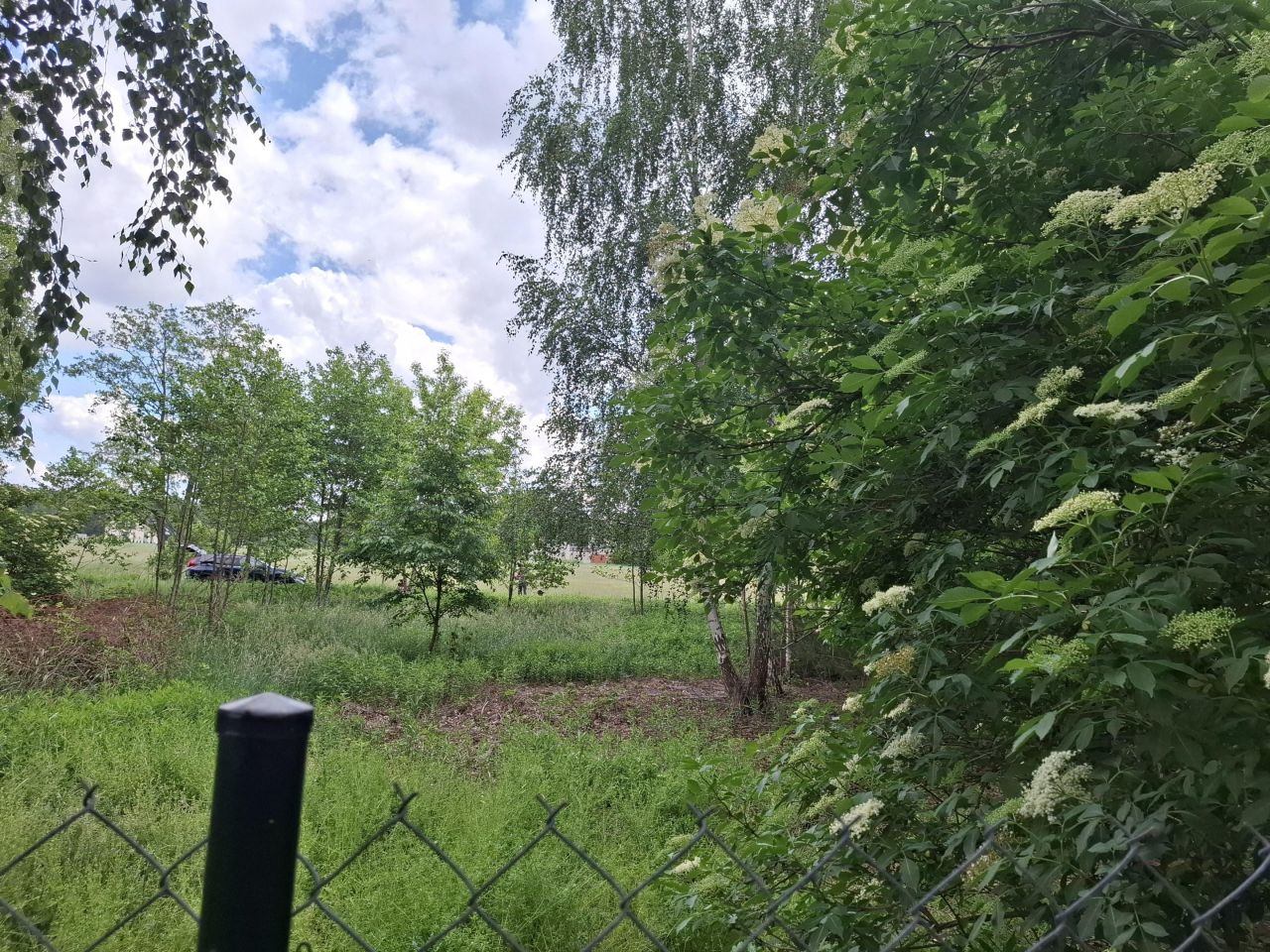 Działka rolno-budowlana Rysie. Zdjęcie 3
