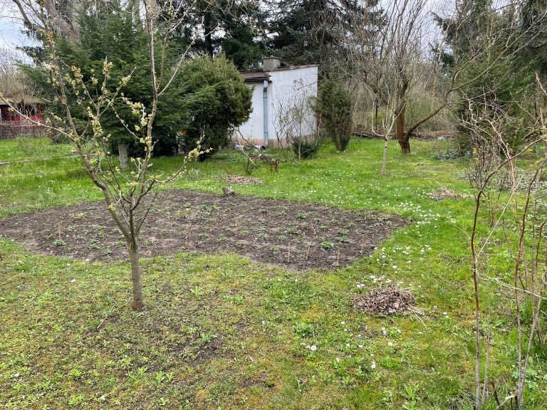 Działka rod Warszawa Siekierki, ul. Antoniewska. Zdjęcie 7