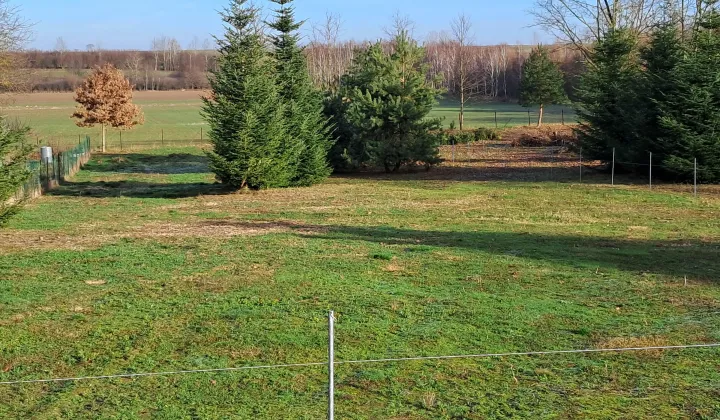 Działka rolno-budowlana Wilkołaz Górny