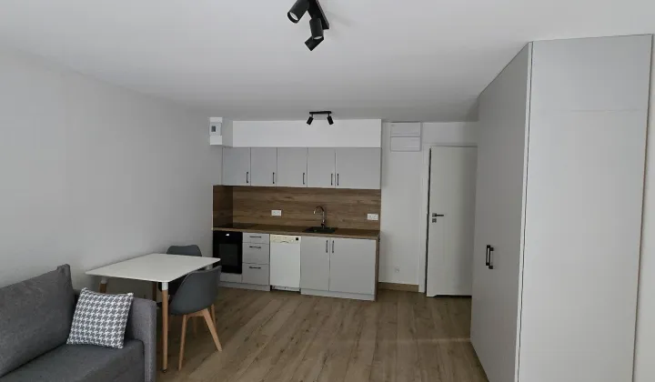 Mieszkanie 1-pokojowe Poznań Łazarz, ul. Lodowa