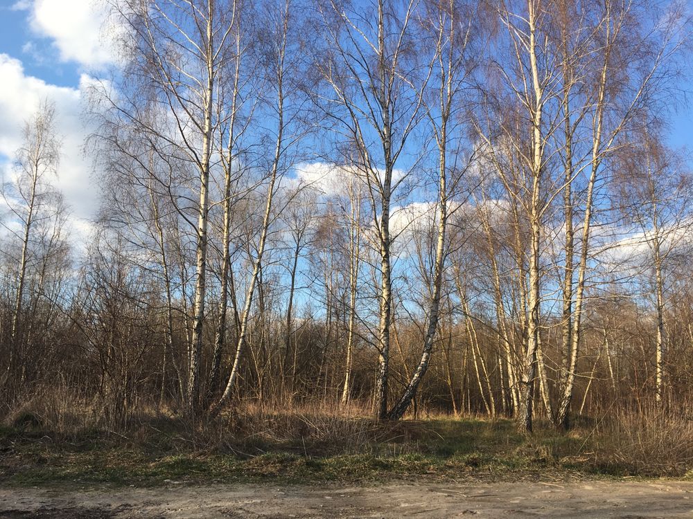 Działka budowlana Nasielsk, ul. Pniewska Górka. Zdjęcie 1