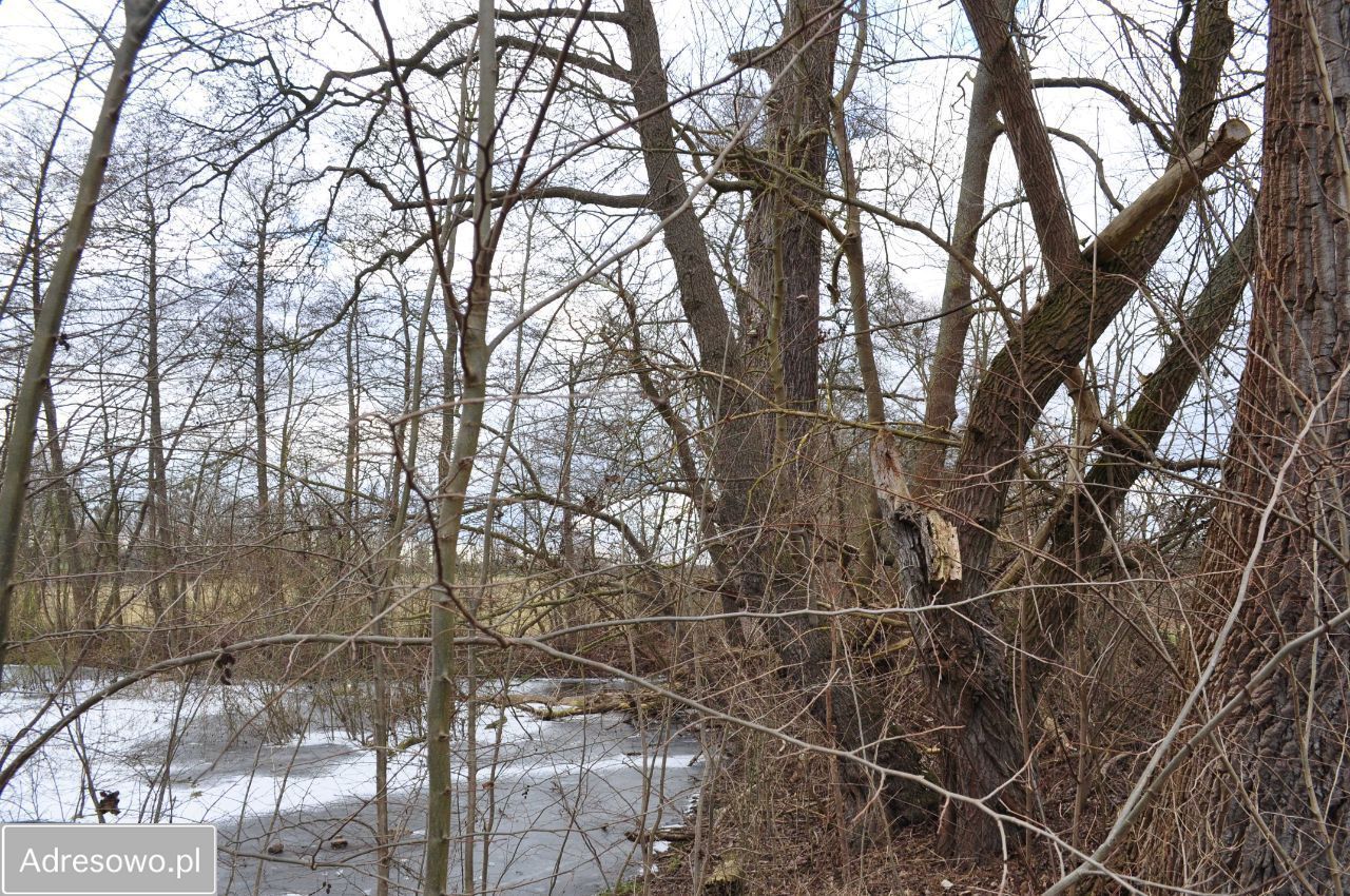 Działka siedliskowa Stare Chrapowo. Zdjęcie 3