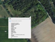 Działka leśna Osieczno
