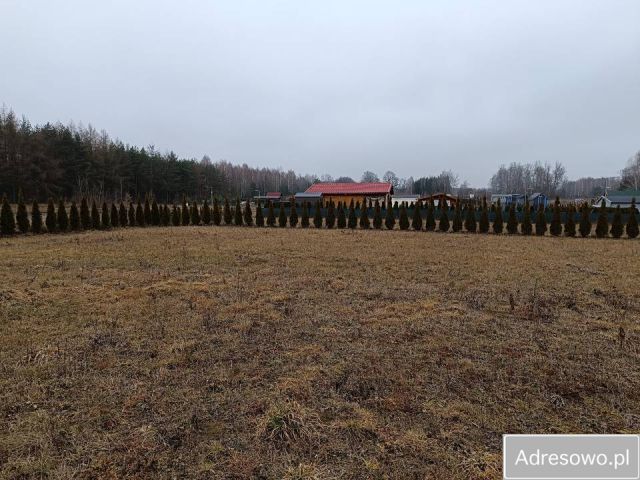 Działka rod Osuchów. Zdjęcie 1