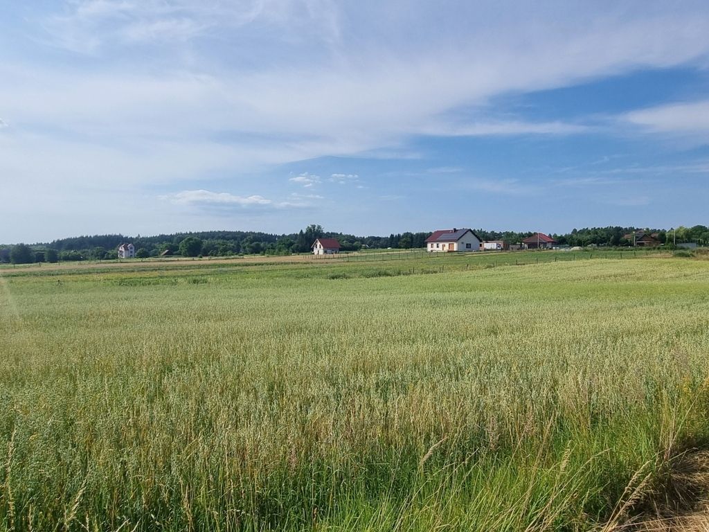 Działka budowlana Niedary. Zdjęcie 11