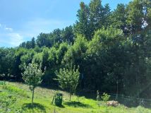 Działka rolno-budowlana Łętowo. Zdjęcie 3