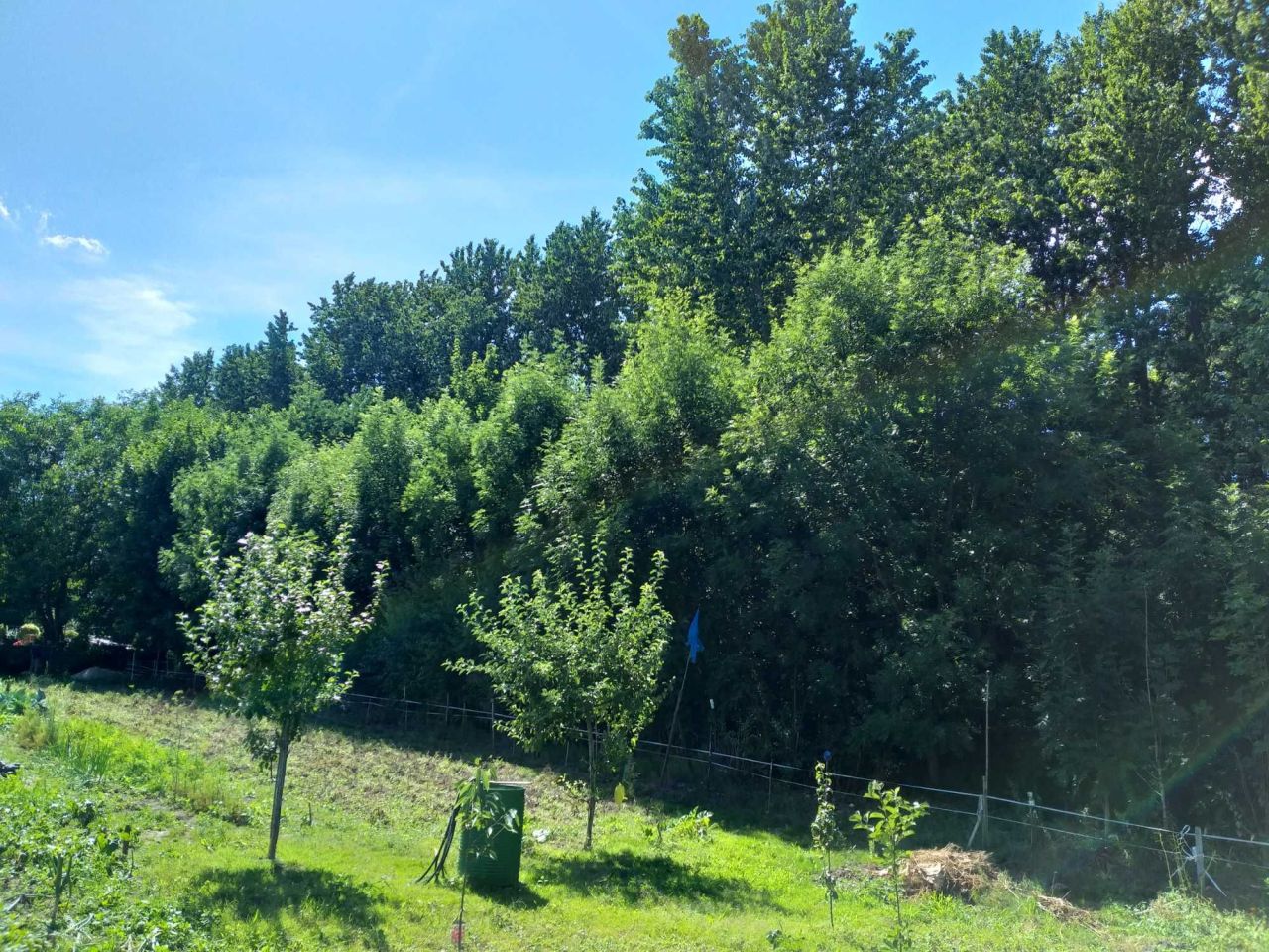 Działka rolno-budowlana Łętowo. Zdjęcie 4