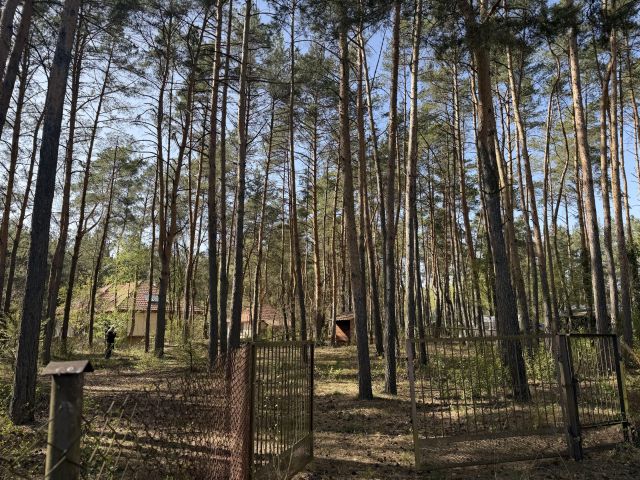 Działka budowlana Nowe Załubice, ul. Wiolinowa. Zdjęcie 2