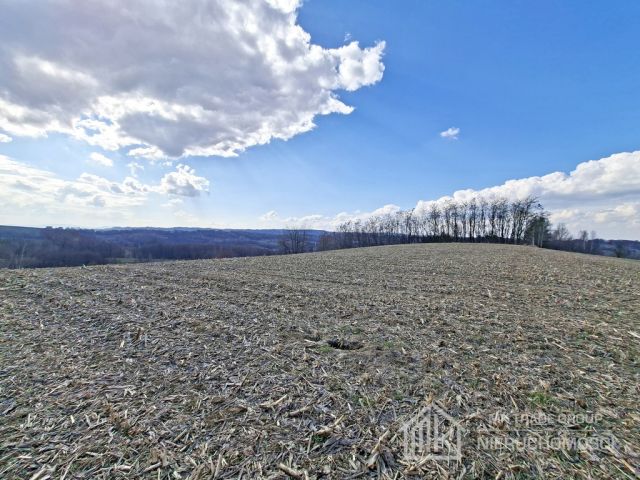 Działka Bodzanów. Zdjęcie 8