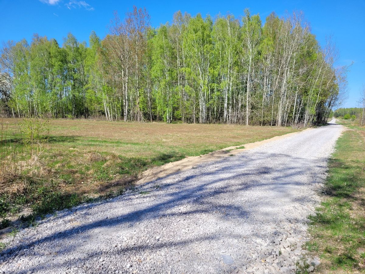 siedlisko Zaręby, ul. Kuropatwy. Zdjęcie 19