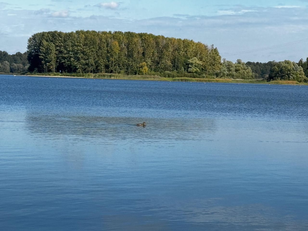 Działka rekreacyjna Boguchwałowice, ul. Skowronków. Zdjęcie 6