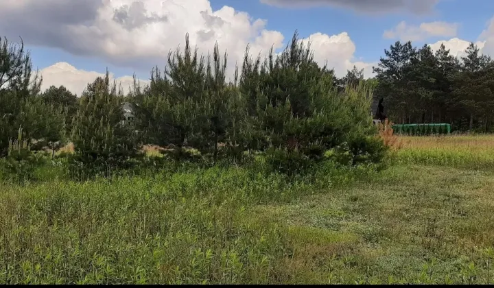 Działka budowlana Silno Nowy Świat, ul. Lisia