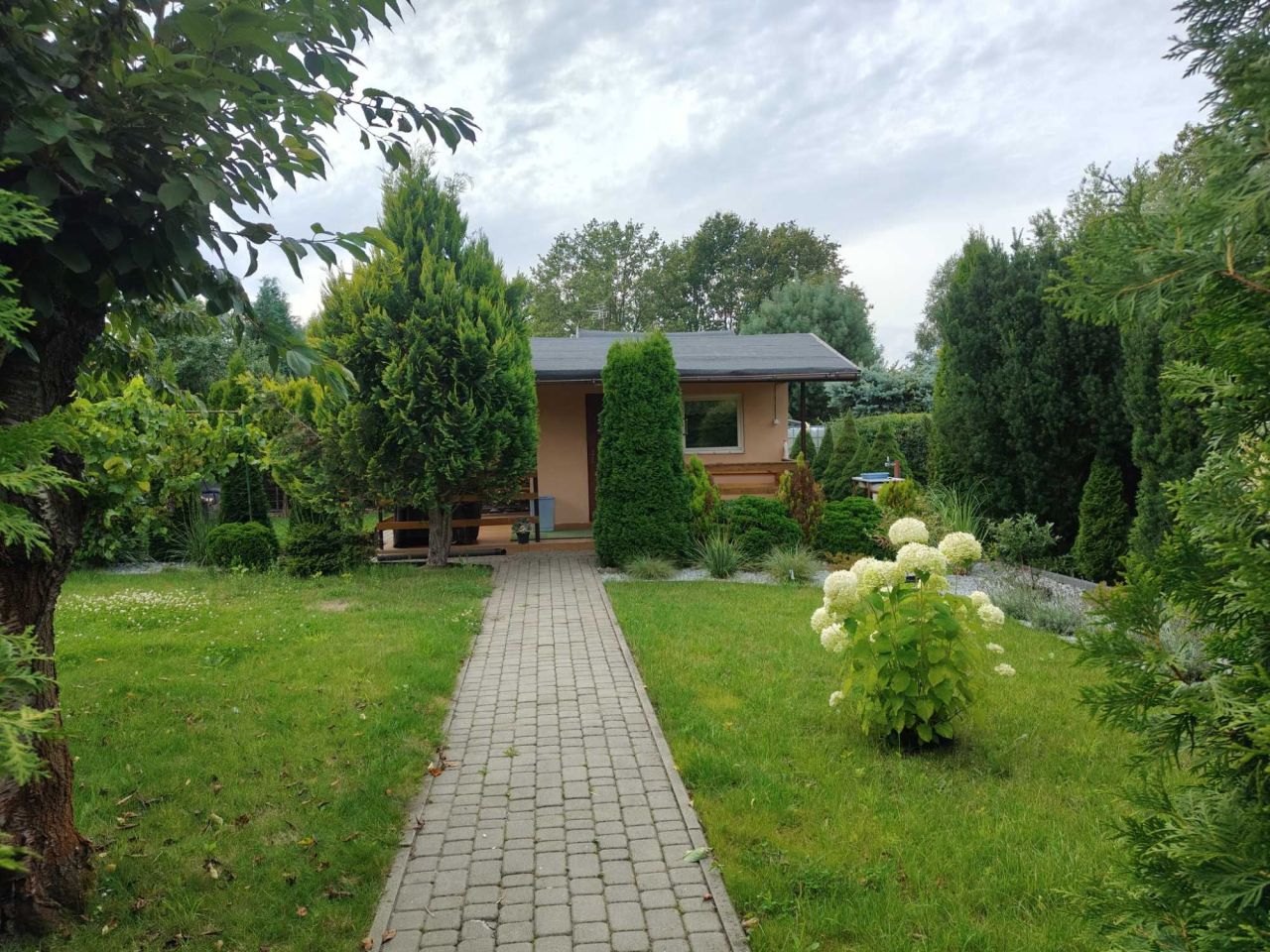 Działka rod Ozorków