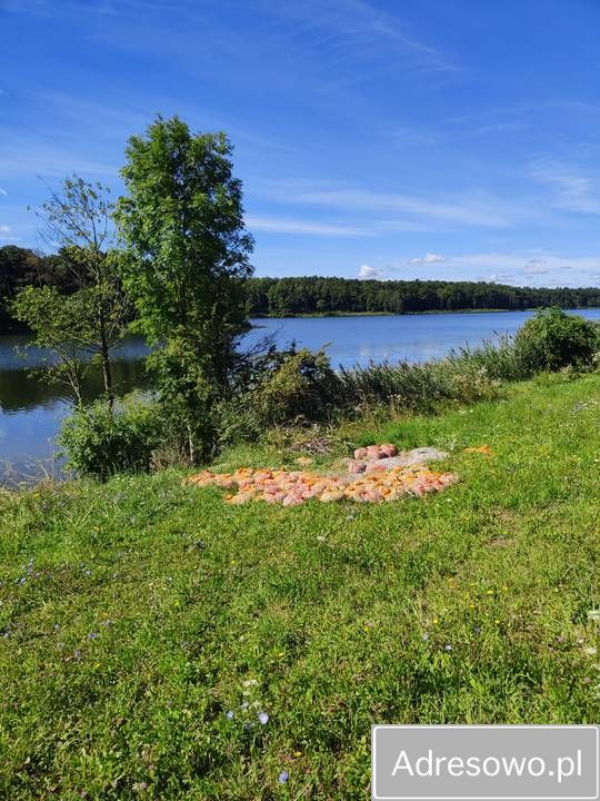 Działka rolno-budowlana Siedliska. Zdjęcie 5