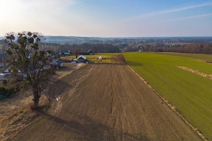 Działka budowlana Międzyrzecze Dolne. Zdjęcie 1