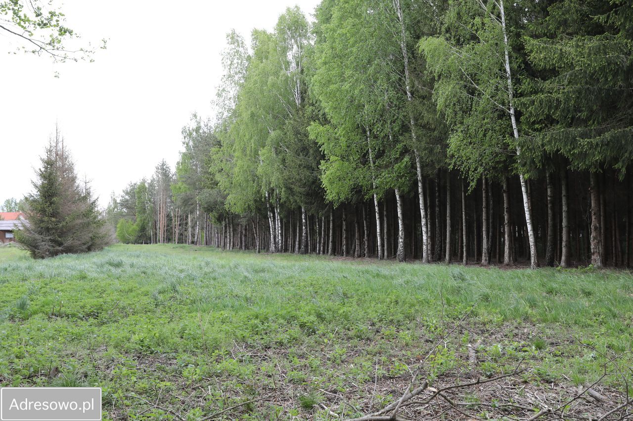 Działka budowlana Ławki. Zdjęcie 6
