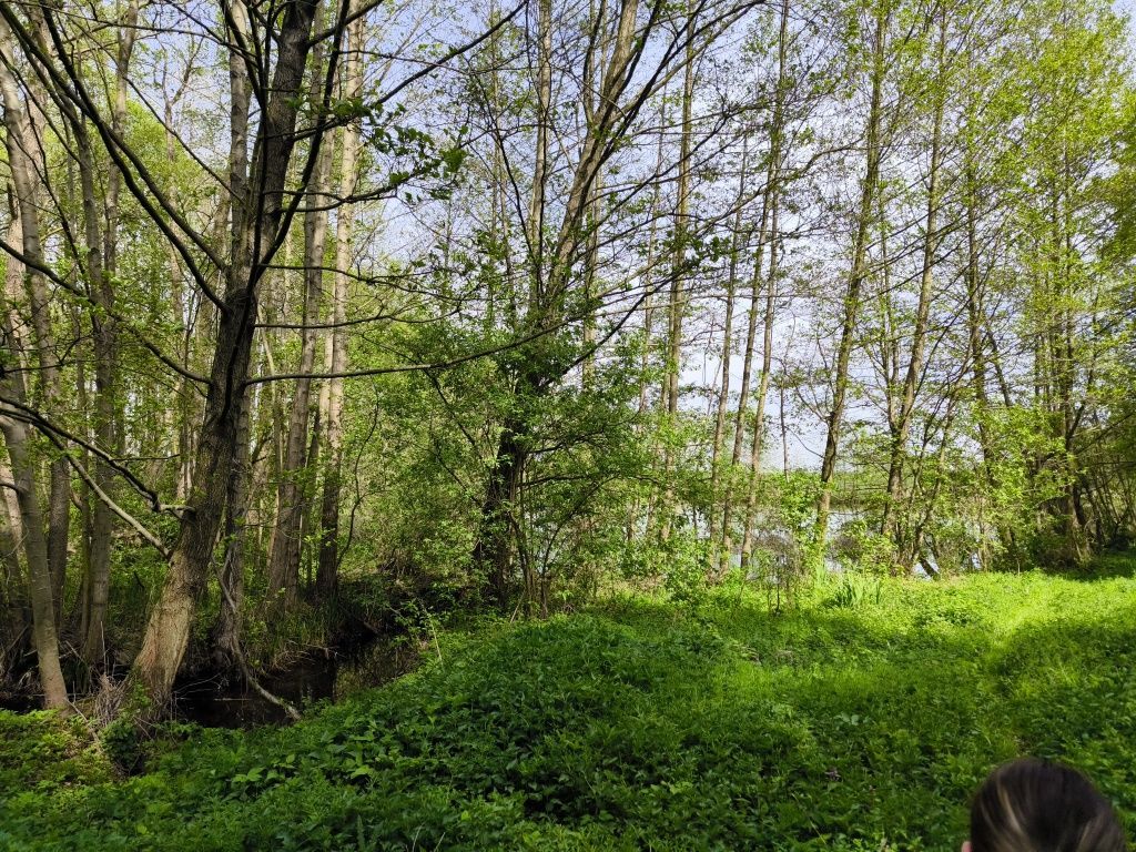 Działka rolna Wydorowo. Zdjęcie 6