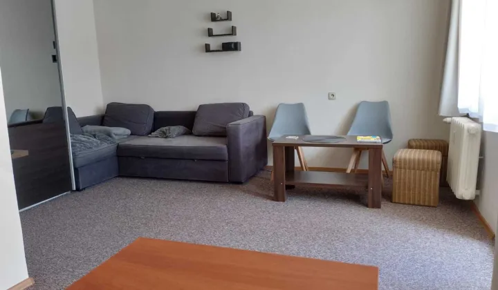 Mieszkanie 1-pokojowe Zakopane Centrum, ul. Słoneczna