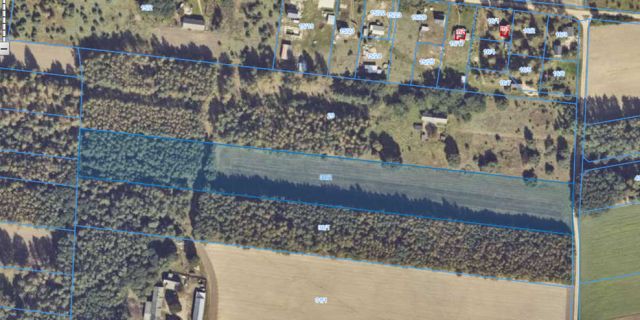 Działka rekreacyjna Skęczniew, Skęczniew. Zdjęcie 1