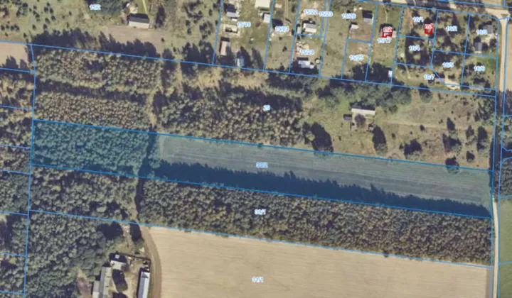 Działka rekreacyjna Skęczniew, Skęczniew