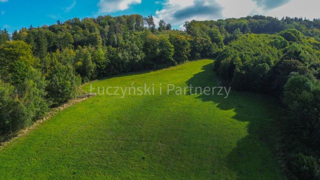 Działka rolna Wojcieszów. Zdjęcie 5