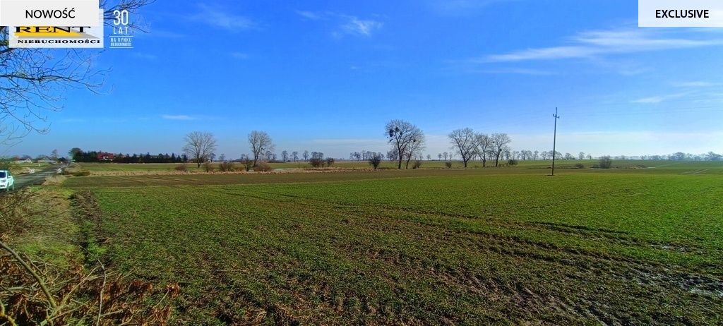 Działka siedliskowa Parsów. Zdjęcie 6