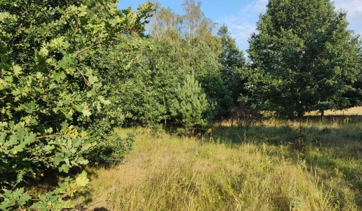 Działka budowlana Janów, ul. Słowikowa