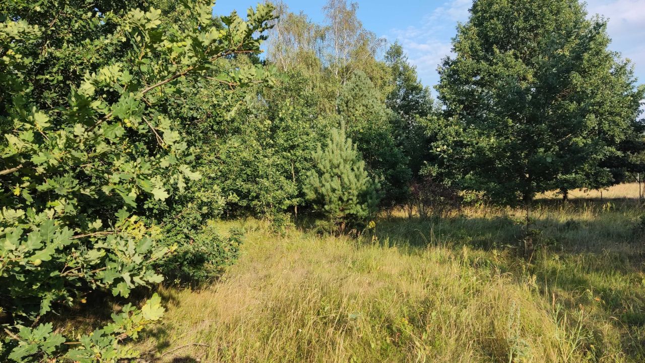 Działka budowlana Janów, ul. Słowikowa. Zdjęcie 1