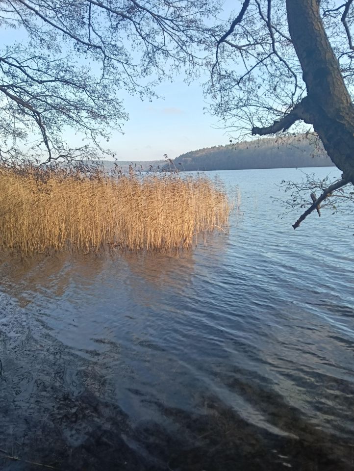 Działka budowlana Lubowidz, ul. Jeziorna. Zdjęcie 6