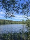 Działka budowlana Niepoczołowice. Zdjęcie 3