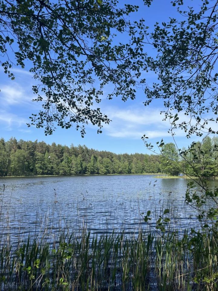 Działka budowlana Niepoczołowice. Zdjęcie 4