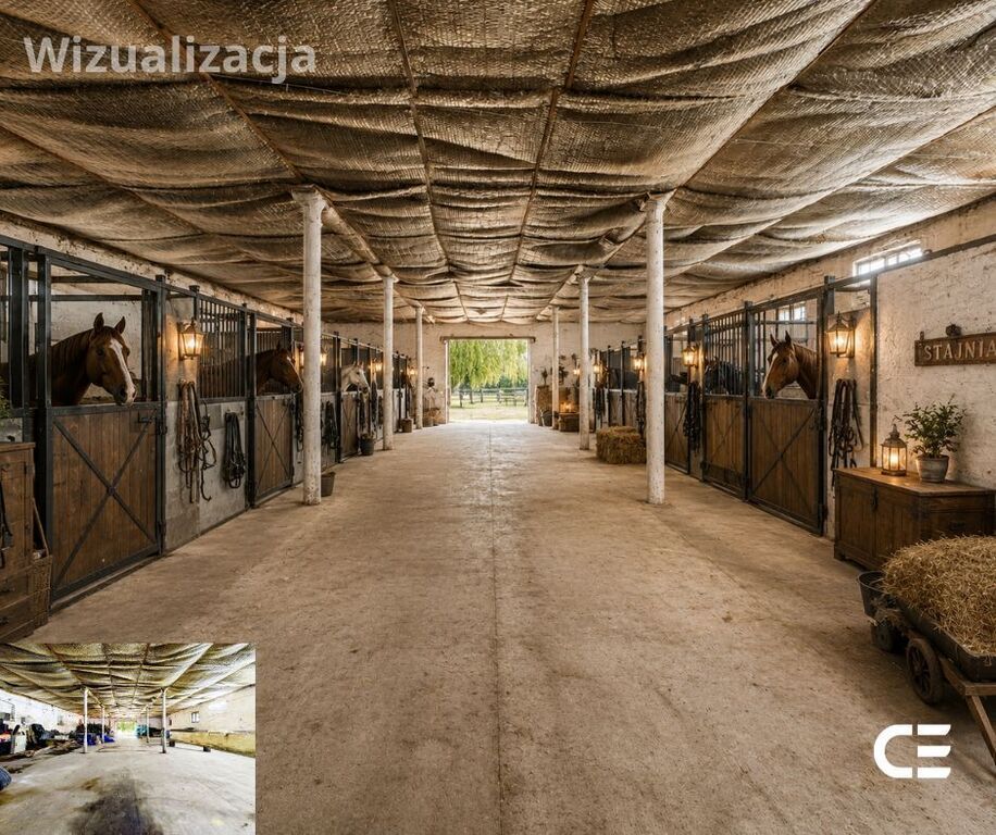 dom wolnostojący, 7 pokoi Zbytowa. Zdjęcie 19