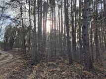 Działka budowlana Wólka, ul. Wiśniowa. Zdjęcie 2