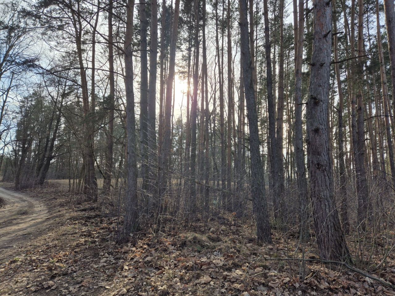 Działka budowlana Wólka, ul. Wiśniowa. Zdjęcie 7