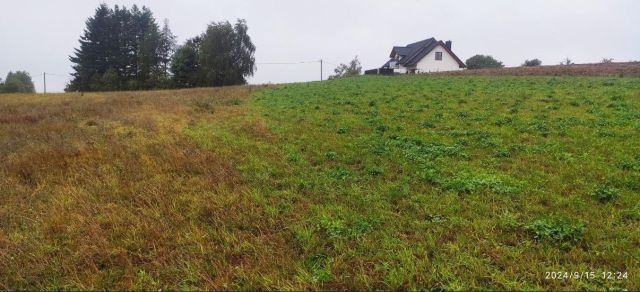 Działka budowlana Szarłata Masłowo, ul. Sianowska. Zdjęcie 1