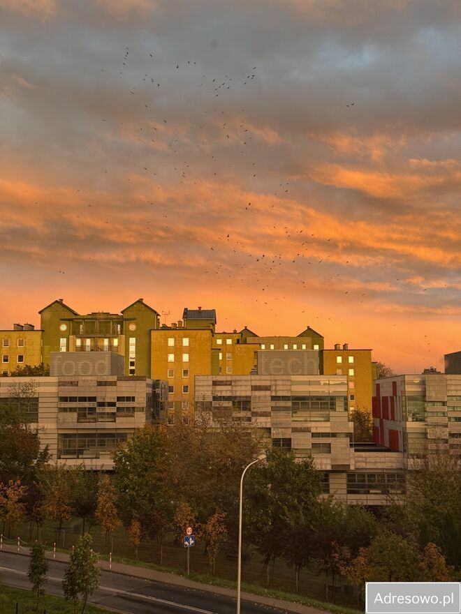 Mieszkanie 3-pokojowe Lublin Wieniawa, ul. Lesława Pagi. Zdjęcie 5