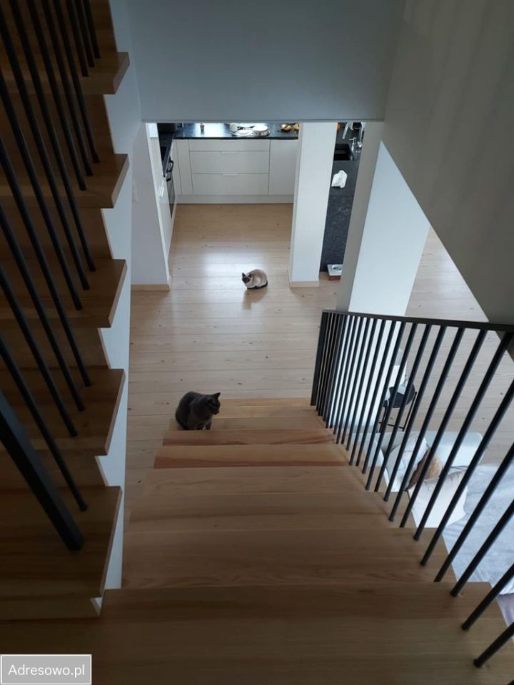 dom wolnostojący, 5 pokoi Częstochowa Kiedrzyn. Zdjęcie 9