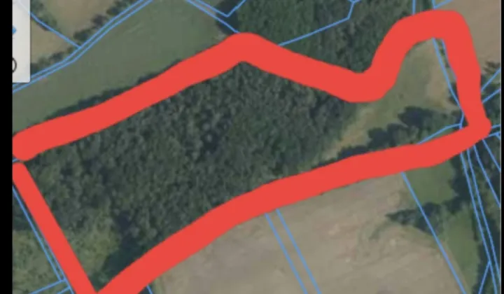 Działka leśna Grodziszcze