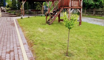 Lokal Goraj, ul. Janowska