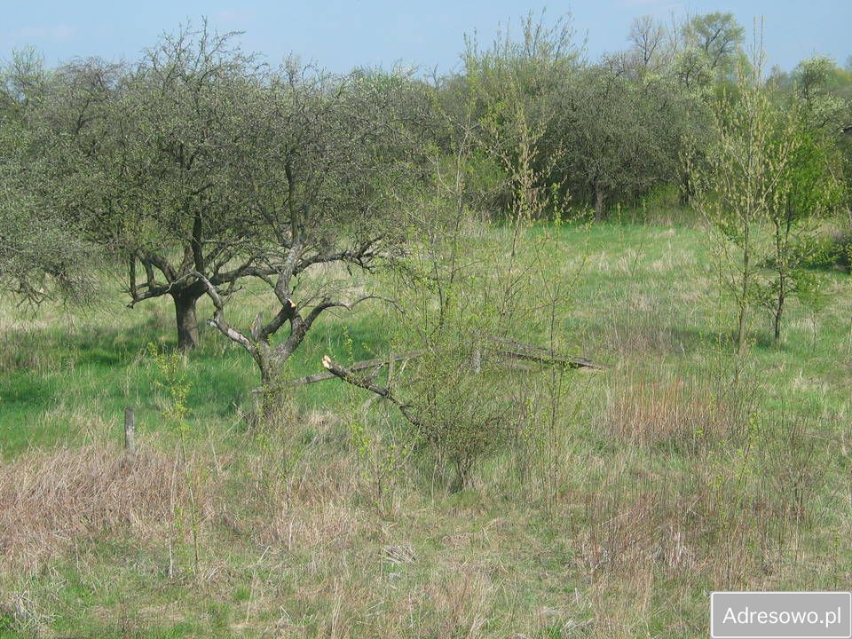 Działka rolna Chwałowice. Zdjęcie 11