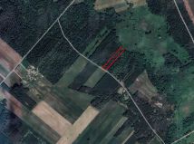 Działka leśna Albinów