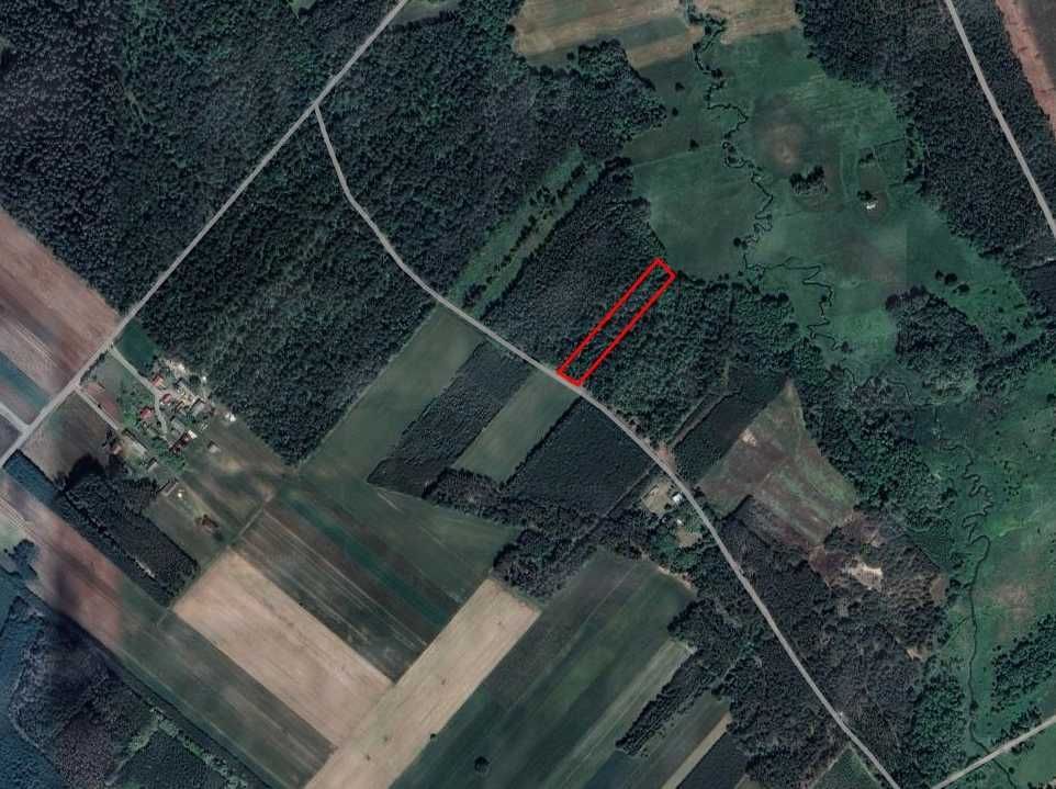 Działka leśna Albinów