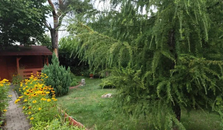 Działka rod Łódź Bałuty, ul. Telefoniczna