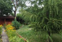 Działka rod Łódź Bałuty, ul. Telefoniczna