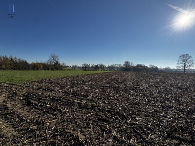 Działka siedliskowa Kolonia Łaznów. Zdjęcie 8