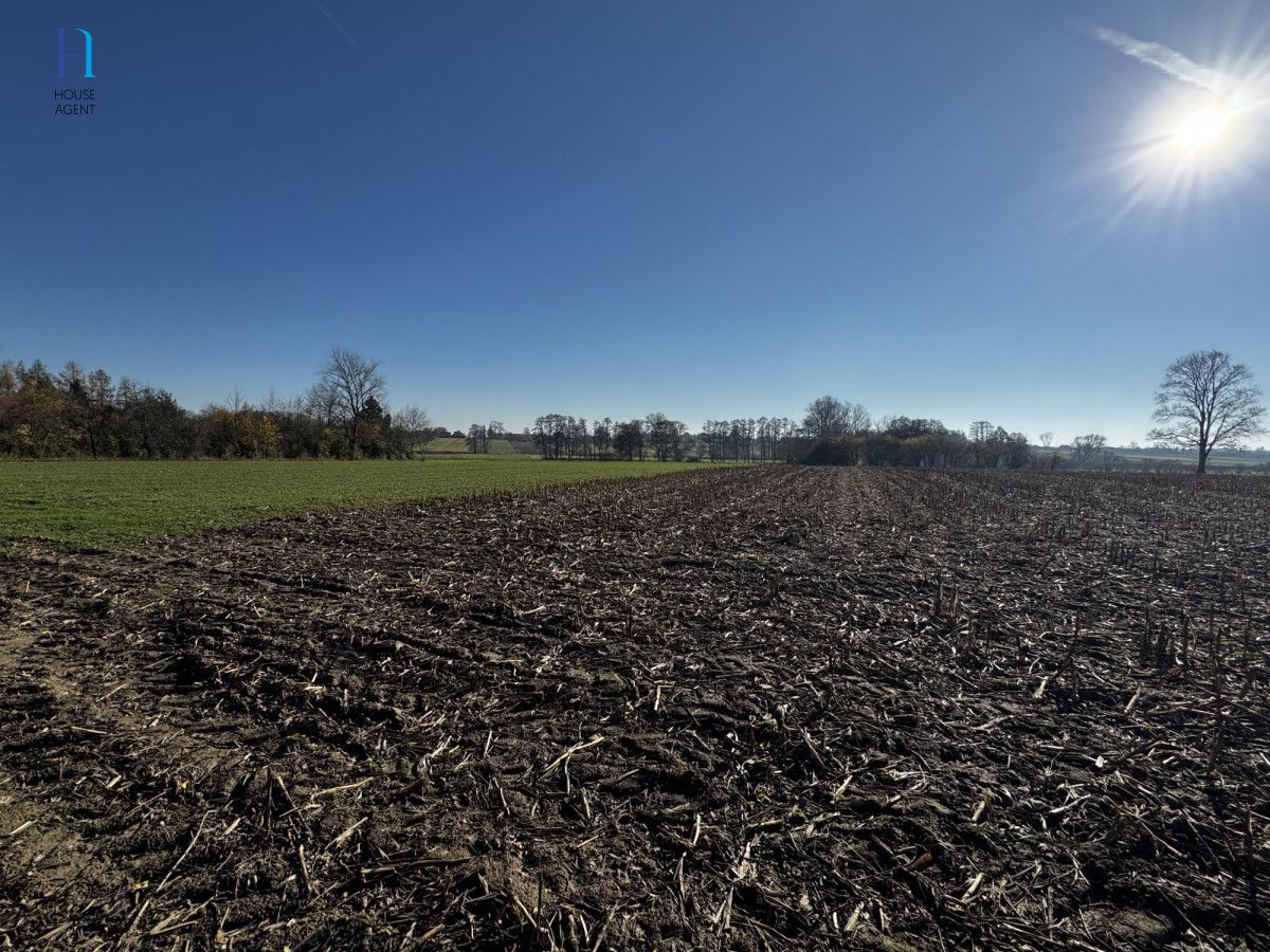 Działka siedliskowa Kolonia Łaznów. Zdjęcie 8