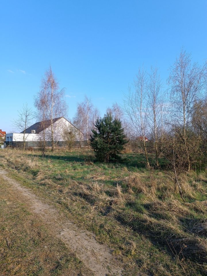 Działka budowlana Kaźmierz, ul. Łabędzia. Zdjęcie 2