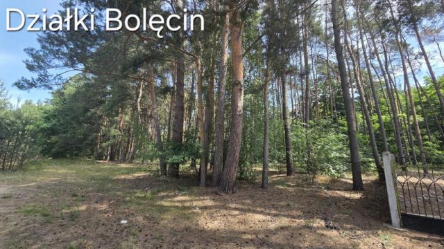 Działka rekreacyjna Bolęcin. Zdjęcie 7