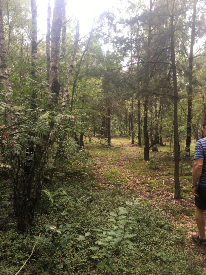 Działka leśna Krysk. Zdjęcie 4